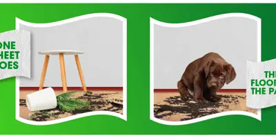 Images of dirty parquet floors against a green background.