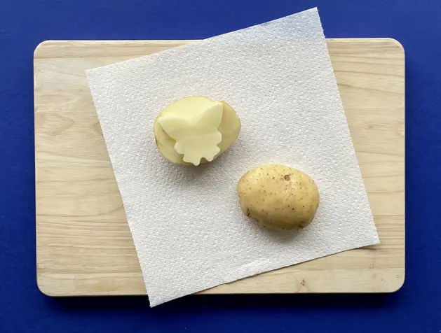 Potato printed red hearts on white paper